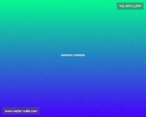 电子竞技国家队队长 lol电竞队国家队队长